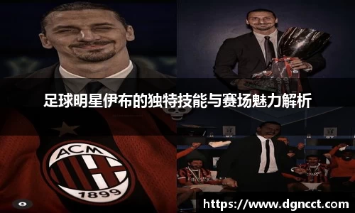 足球明星伊布的独特技能与赛场魅力解析